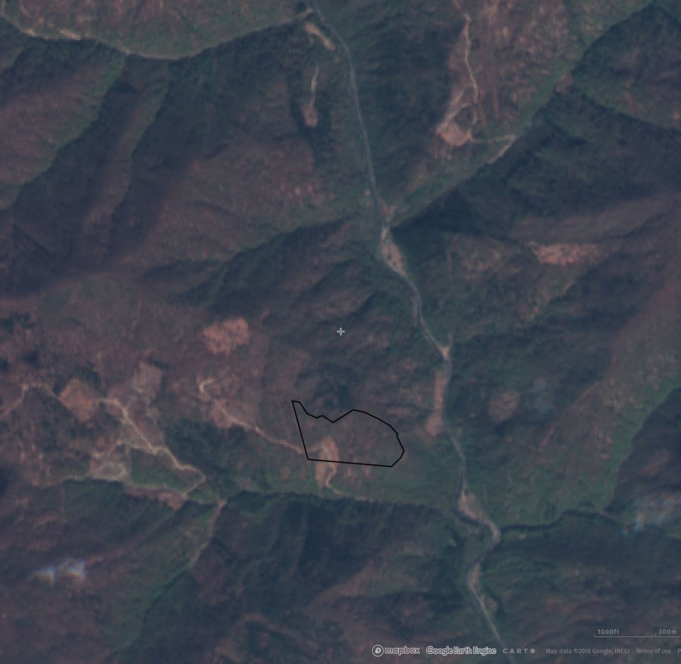 Before and after satellite images of one of a number of illegally-licensed clear-cuts in beech forest by VGSM during the ‘silence period’ and COVID lockdown, April 2020 (Source: Sentinel satellite images, accessed via Global Forest Watch)